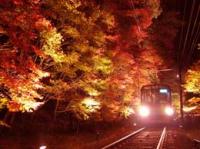 110_1036[1].jpg